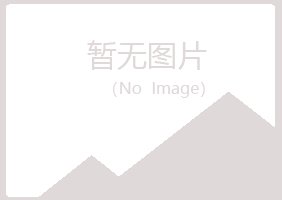 金华紫山会计有限公司